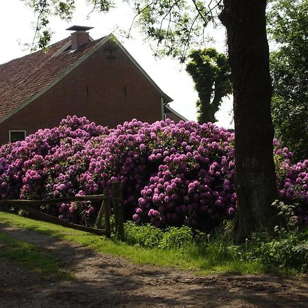 Huis Eedingh Onstwedde Exterior photo
