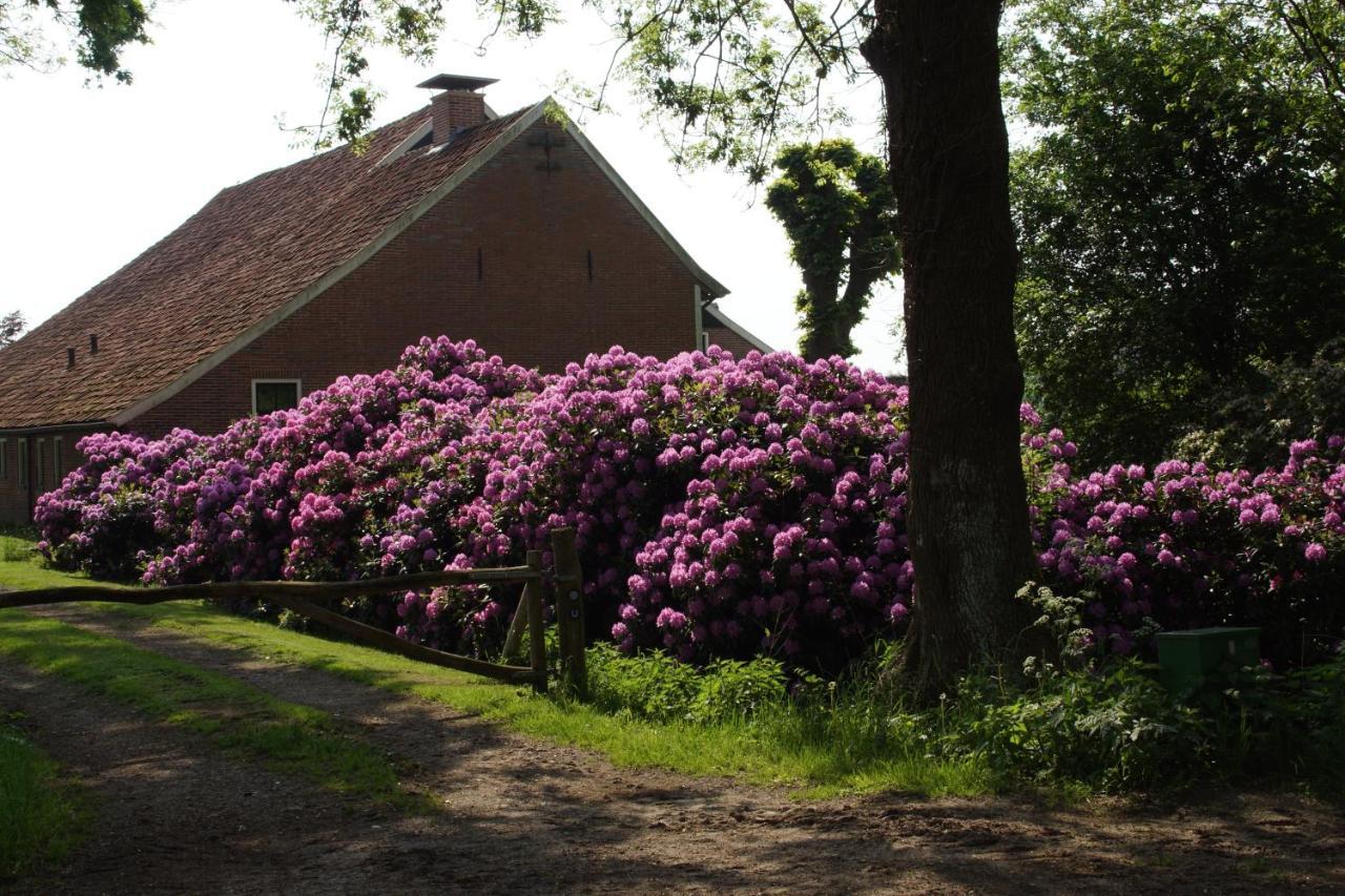 Huis Eedingh Onstwedde Exterior photo